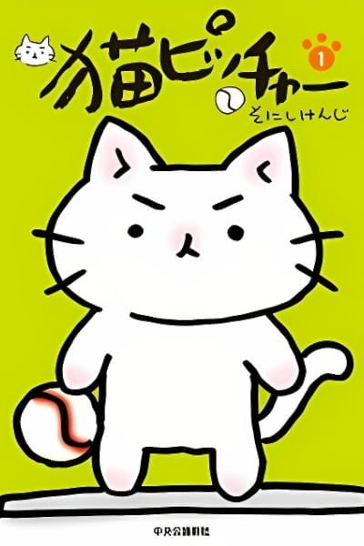 Neko Pitcher